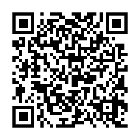 QR code for plate VQE-738