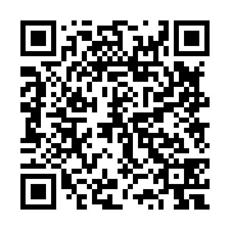 QR code for plate VSP-838