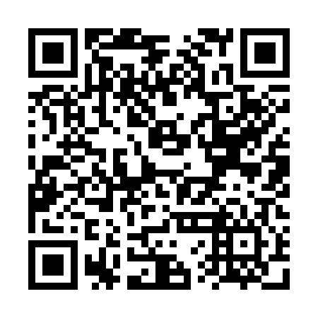 QR code for VVI306