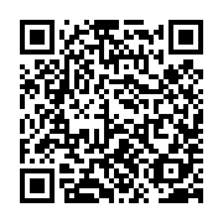 QR code for plate VWF-488