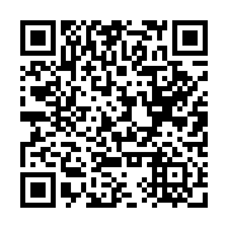 QR code for plate VYT-511