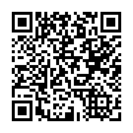 QR code for W0393D