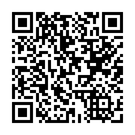QR code for plate W09-13V