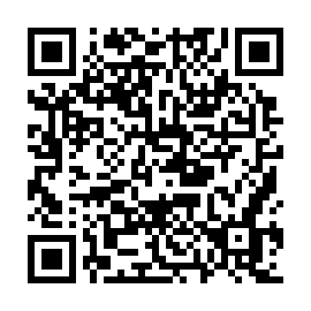 QR code for plate W09-37N