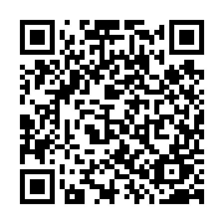 QR code for plate W09-65T