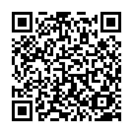 QR code for plate W29-13J