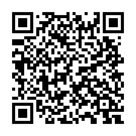 QR code for plate W33-78F
