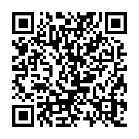 QR code for plate W33-83Z
