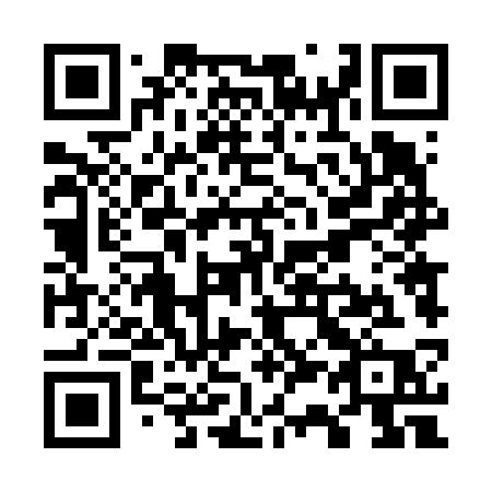 QR code for W3463P