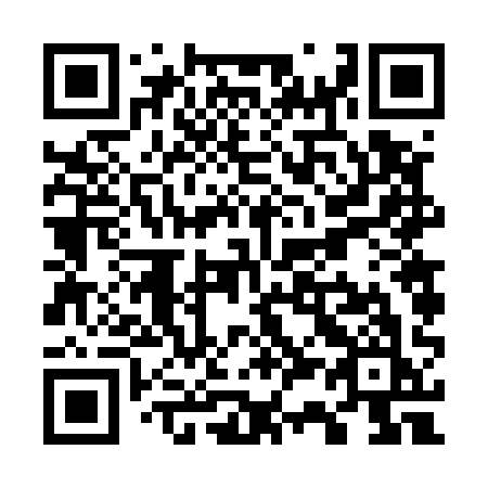 QR code for plate W36-51K