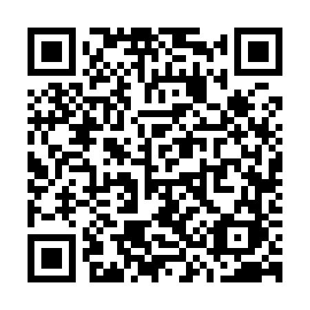 QR code for plate W36-96K