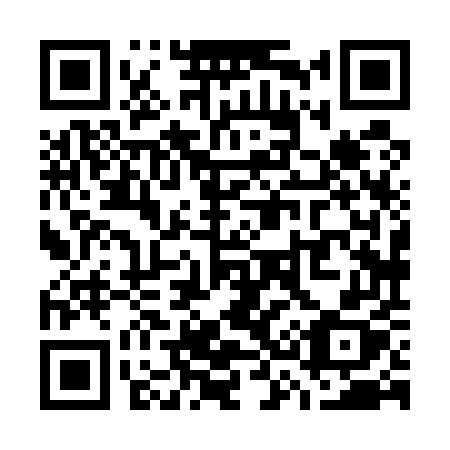 QR code for W38-55X