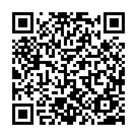 QR code for W38-87T