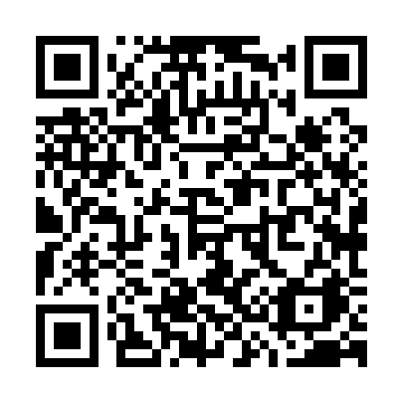 QR code for plate W38-12A