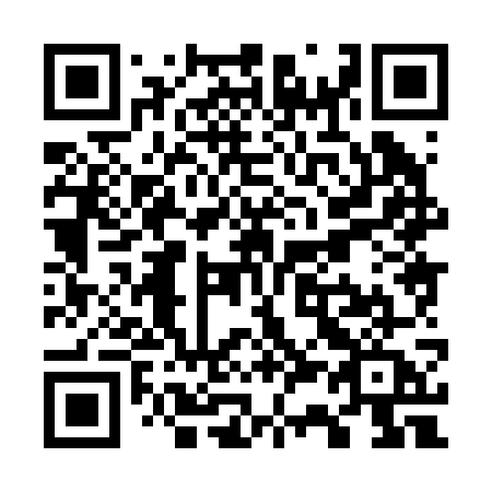 QR code for W3827A