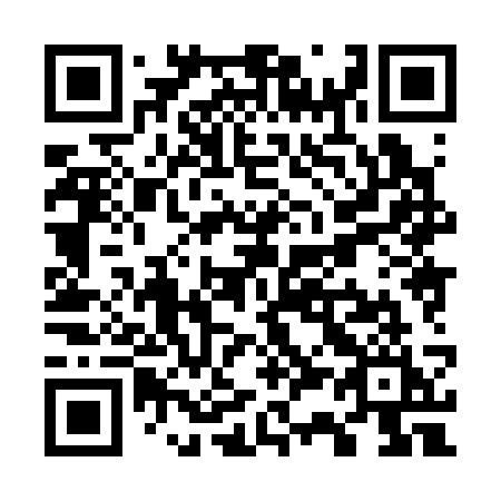 QR code for W3833I