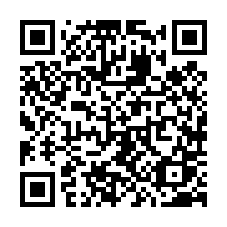 QR code for plate W38-40S