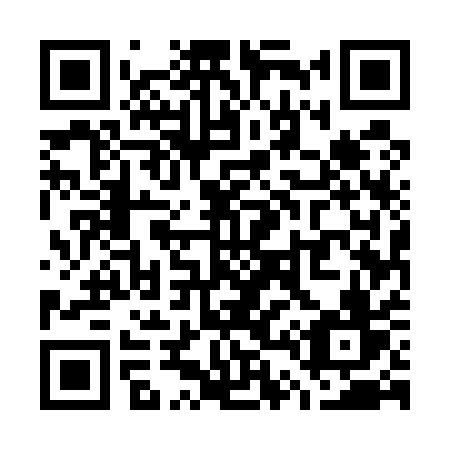 QR code for plate W45-51V