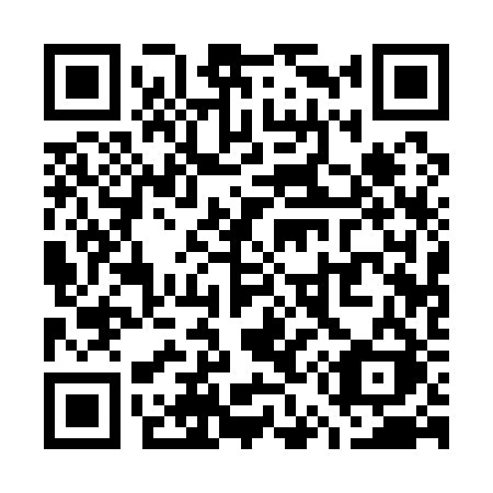 QR code for plate W51-12K