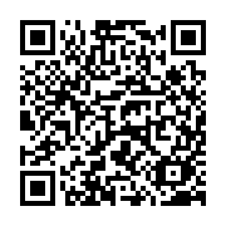 QR code for plate W51-35M