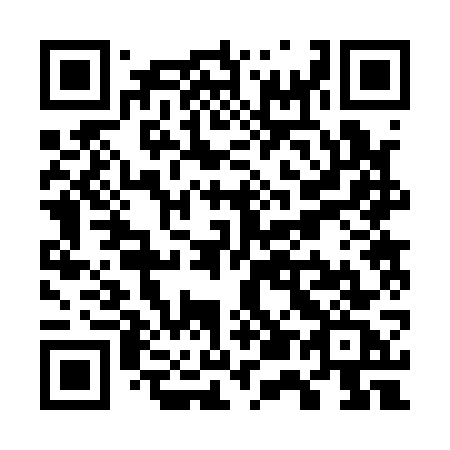 QR code for plate W52-17C