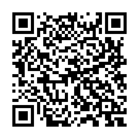 QR code for plate W52-93B