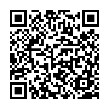 QR code for plate W55-46S