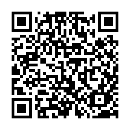 QR code for plate W61-29L