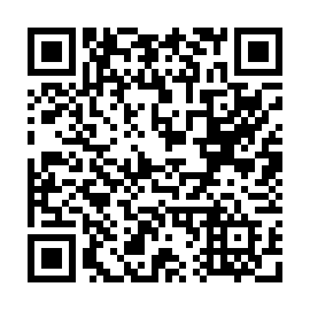 QR code for plate W63-06D