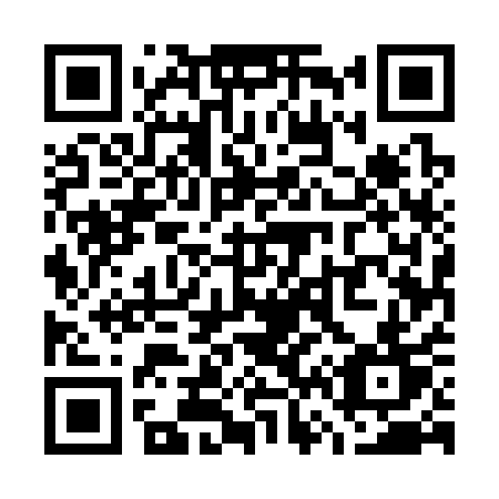 QR code for plate W65-31T