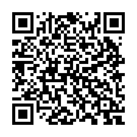QR code for W81-29B