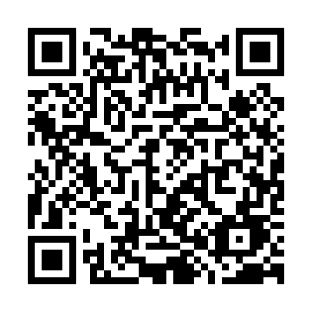 QR code for plate W81-07D