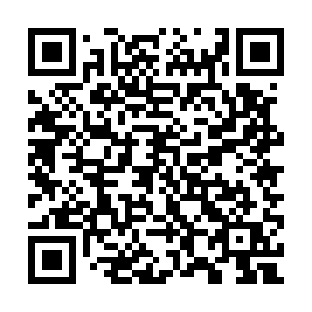 QR code for W85-51Q