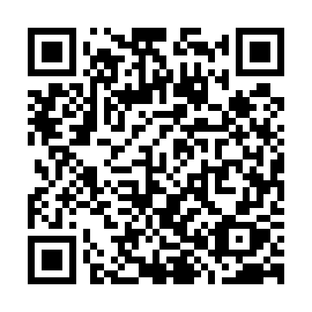 QR code for W85-57X