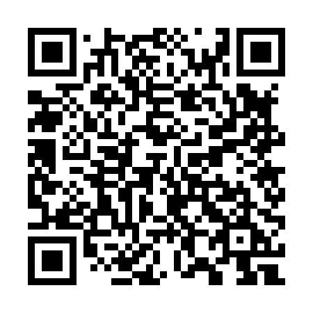 QR code for W87-80E