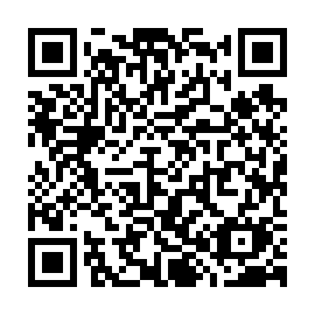 QR code for plate W89-63M