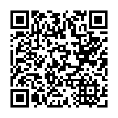 QR code for plate W90-45N