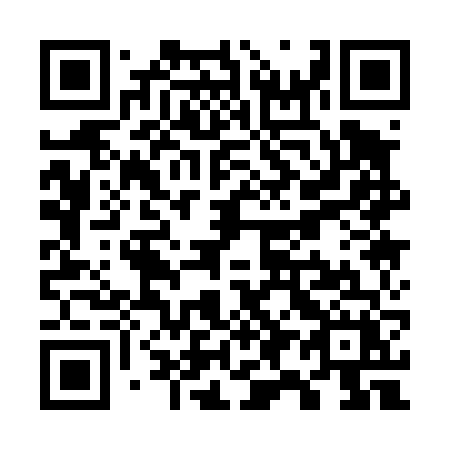 QR code for W91-46X