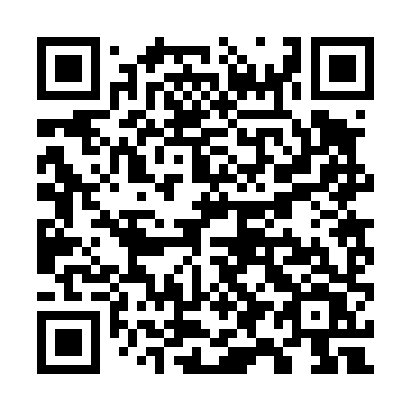 QR code for plate W92-48V