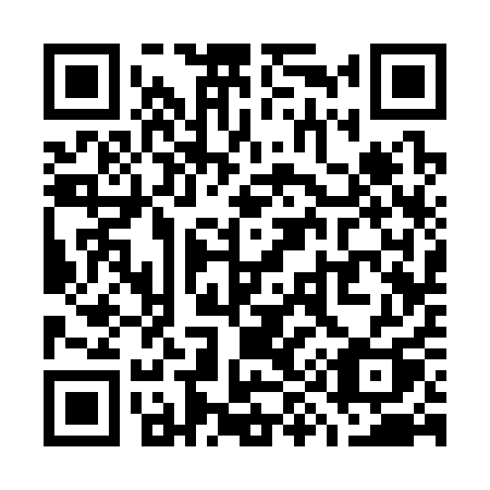 QR code for W93-31Q