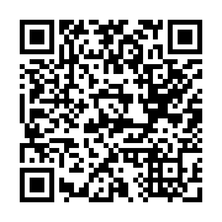 QR code for plate W93-92Z
