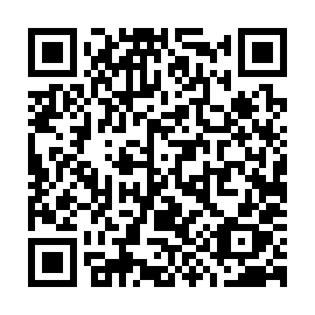 QR code for W94-38X