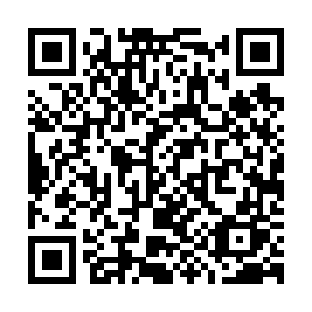 QR code for plate W94-66P