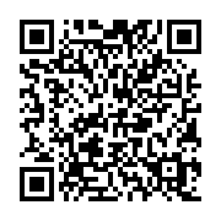QR code for W95-03M