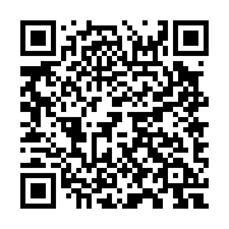 QR code for W95-09D