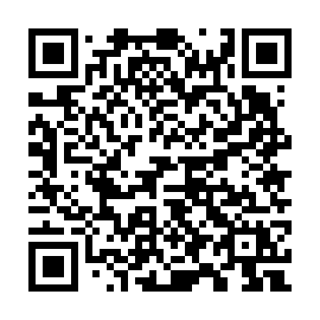 QR code for W95-67X