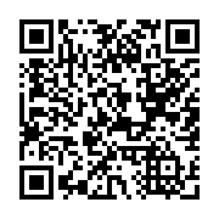 QR code for W95-97T