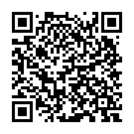 QR code for plate W95-66U