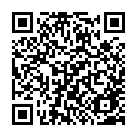 QR code for plate W96-98G