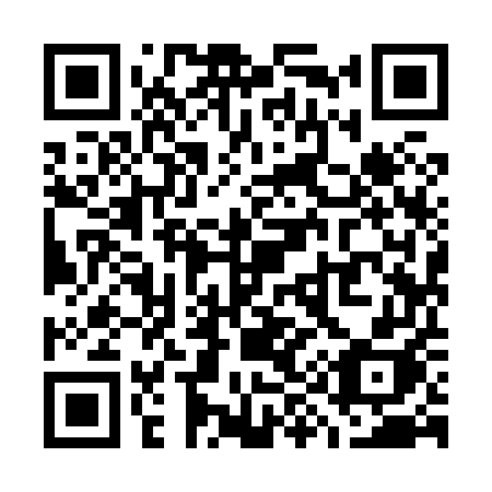 QR code for W99-85H
